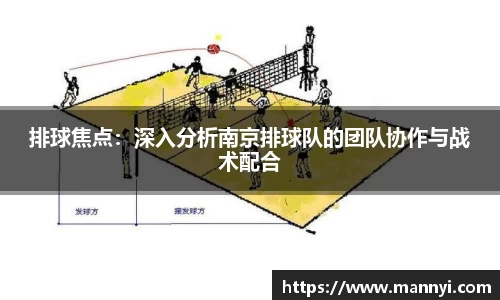排球焦点：深入分析南京排球队的团队协作与战术配合