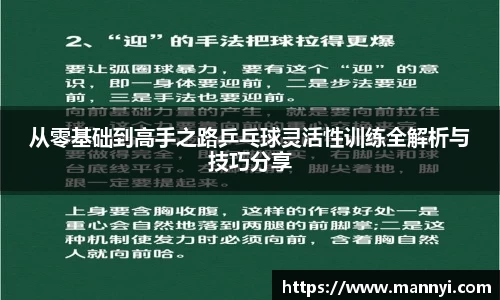 从零基础到高手之路乒乓球灵活性训练全解析与技巧分享